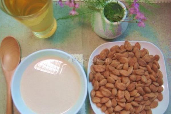 润肺养颜杏仁茶