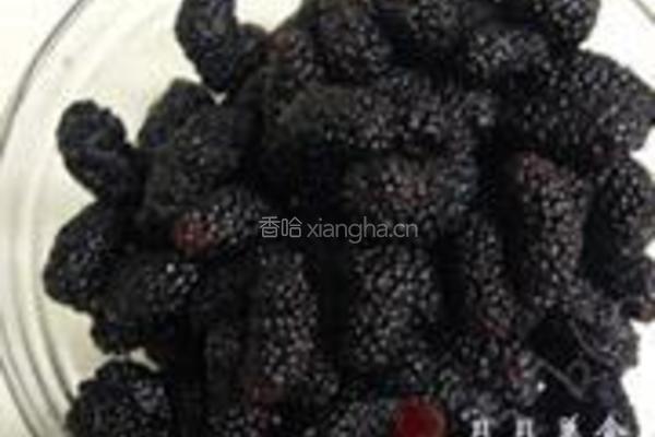 自制桑葚果酱的做法图解1