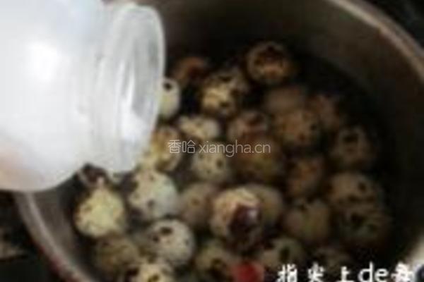 乌鸡鹌鹑蛋汤的做法图解8