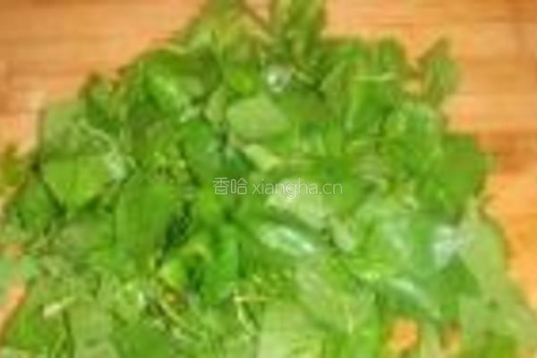凉拌荆芥的做法图解4