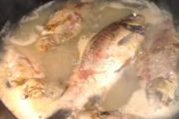 石斛鲫鱼汤的做法图解3