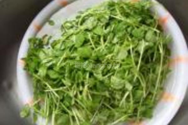 素炒豌豆苗的做法图解2