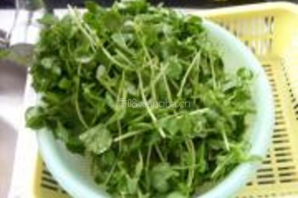 素炒豌豆苗的做法图解3