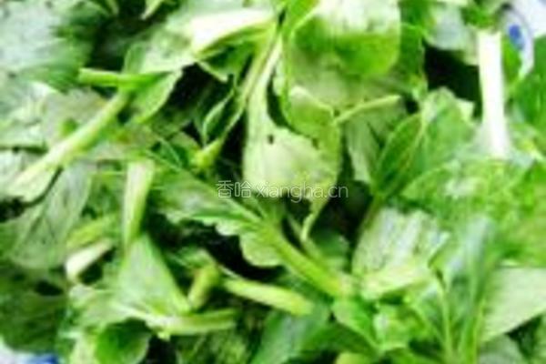 腐竹烧油菜的做法图解1