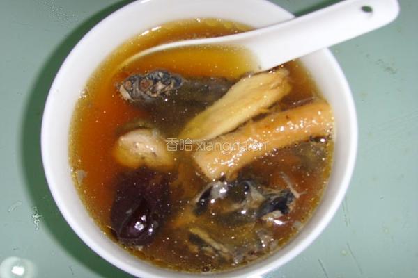 参芪红枣炖乌鸡