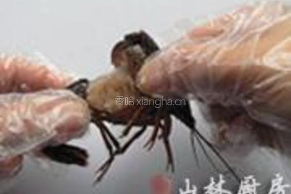 凉拌小龙虾的做法图解1
