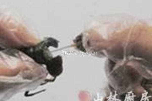 凉拌小龙虾的做法图解2