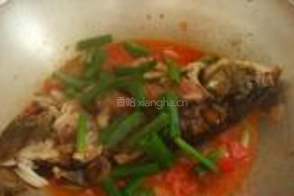 番茄烧鱼的做法图解9