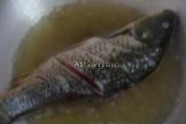 番茄烧鱼的做法图解3