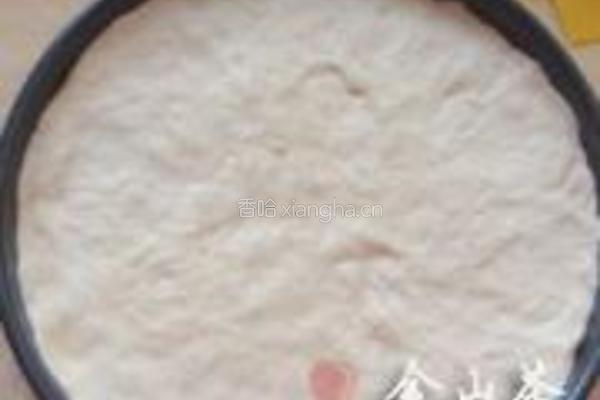 早餐十分钟批萨的做法图解2