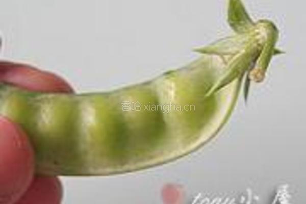 软荚豌豆炒春笋的做法图解2