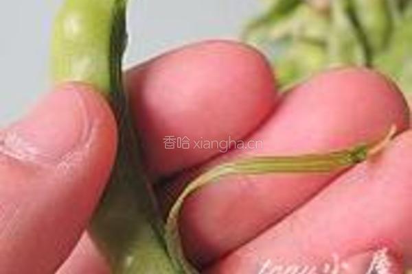 软荚豌豆炒春笋的做法图解4