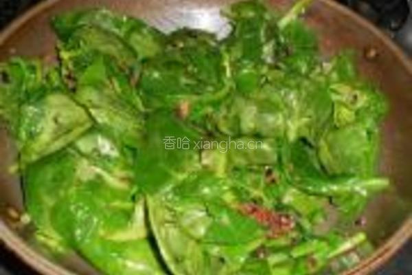 豆豉鲮鱼炒潺菜的做法图解4