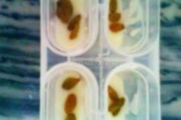 提子牛奶雪糕的做法图解4