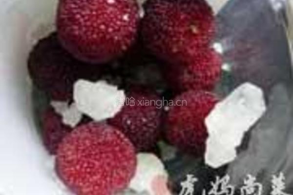 杨梅酒的做法图解3