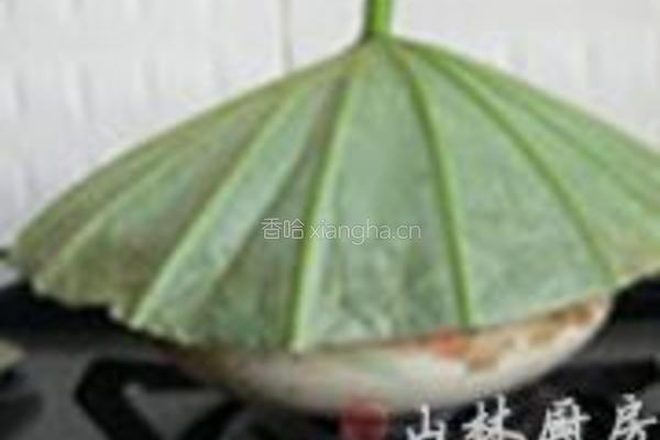 荷叶鸡肉粥的做法图解8