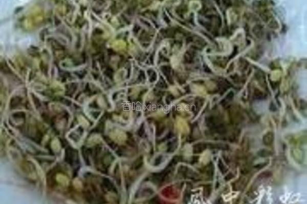沸腾水煮鱼的做法图解4