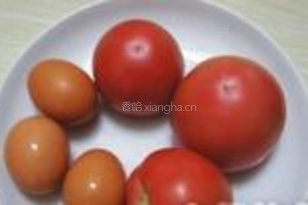 西红柿鸡蛋的做法图解1