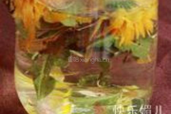 马鞭草金盏菊茶的做法图解3