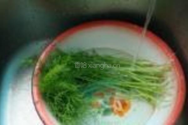 茴香鸡蛋饼的做法图解1