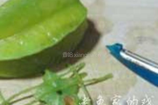 五星杨桃炖牛腱的做法图解4