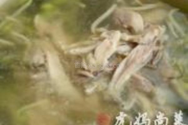 鸡丝砂锅土豆粉的做法图解8
