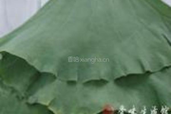 荷香粉蒸肉的做法图解4