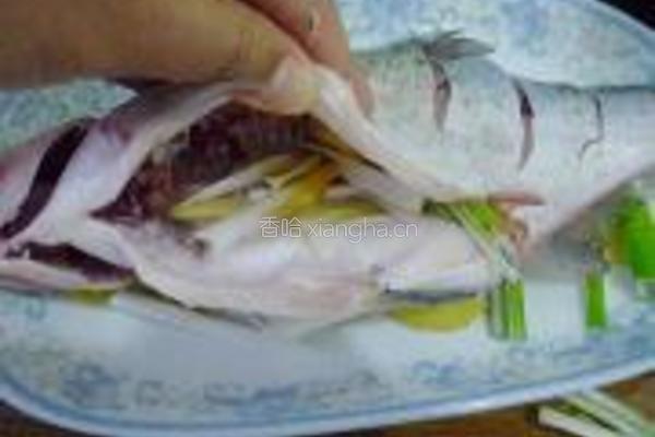 清蒸鳊鱼的做法图解3