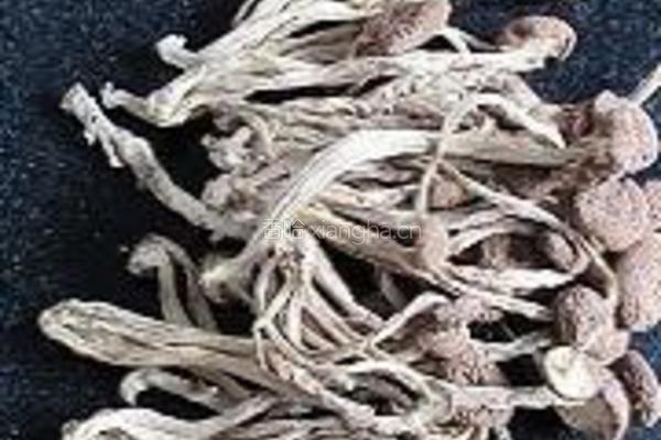 干锅茶树菇香干的做法图解1