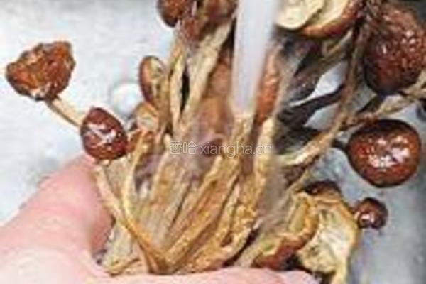 干锅茶树菇香干的做法图解2
