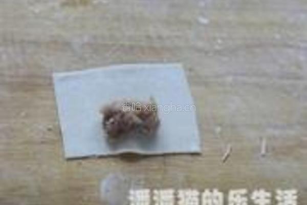鸡汤虾肉馄饨的做法图解15