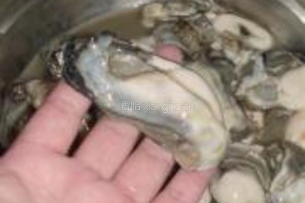 鲜香海蛎子的做法图解2