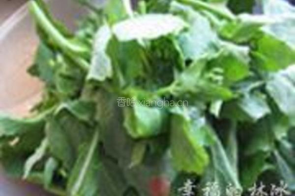 香辣油菜心的做法图解1