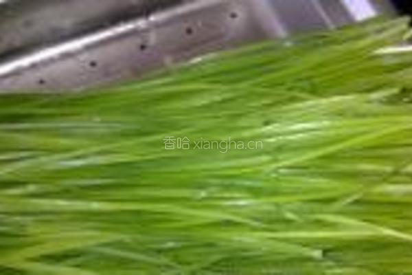 韭菜豆芽炒果条的做法图解2