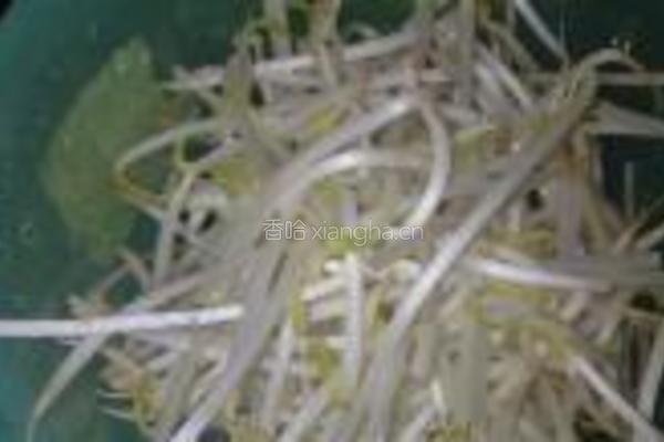 韭菜豆芽炒果条的做法图解3