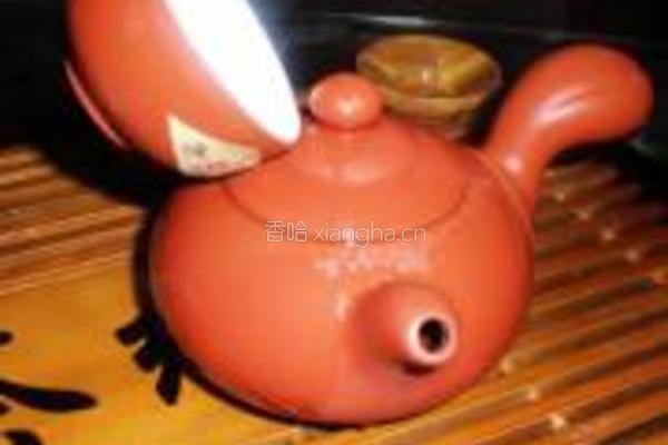 铁观音茶的做法图解5