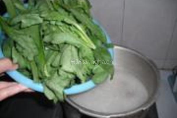 茼蒿排骨粥的做法图解10