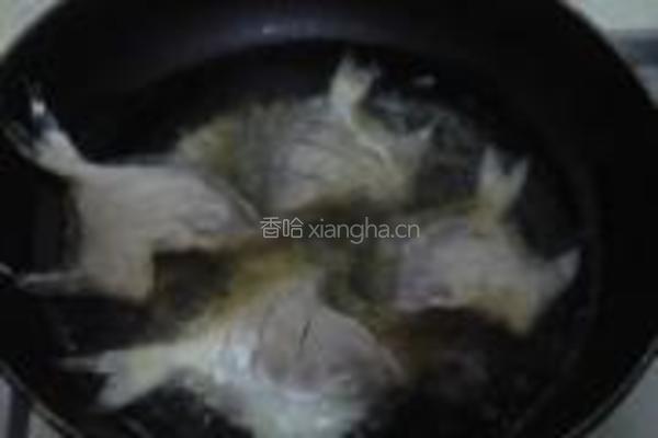 香煎小鲳鱼的做法图解5