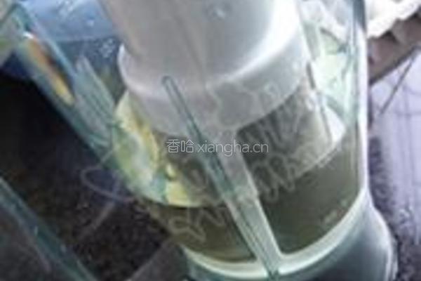 炼乳薄荷沙冰的做法图解4