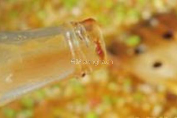 豇豆肉酱披萨的做法图解8
