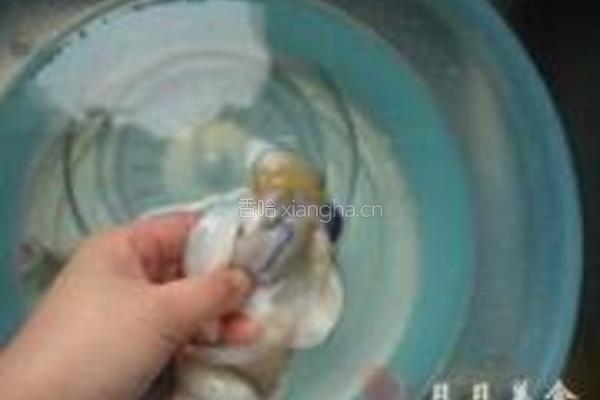 白切章鱼的做法图解2