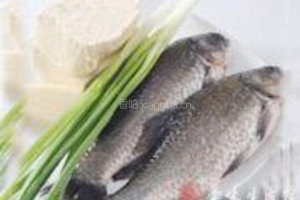 鲫鱼豆腐汤的做法图解1