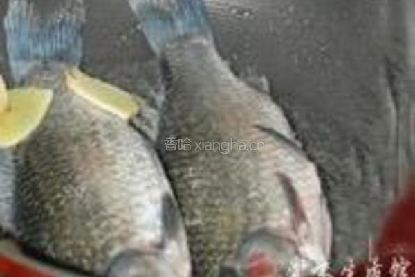 鲫鱼豆腐汤的做法图解3