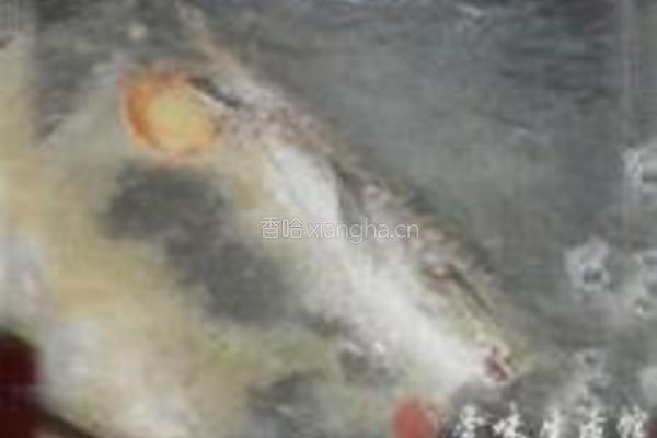 鲫鱼豆腐汤的做法图解4