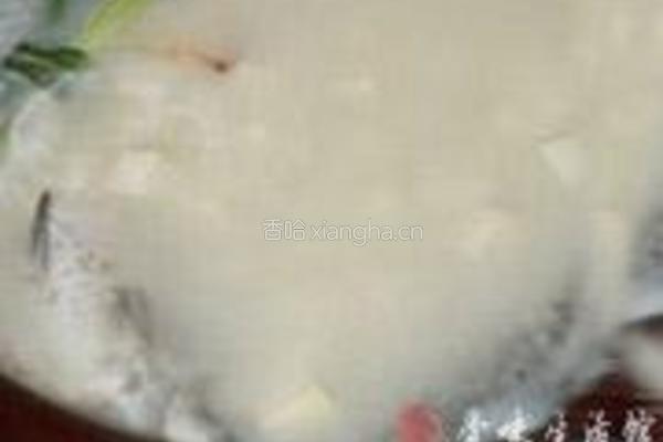 鲫鱼豆腐汤的做法图解6
