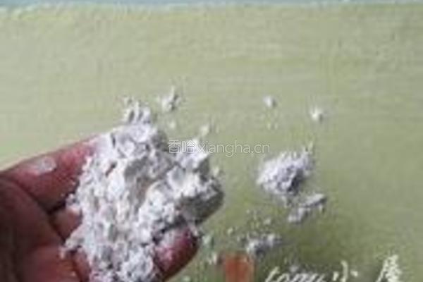 菠菜挂面的做法图解10