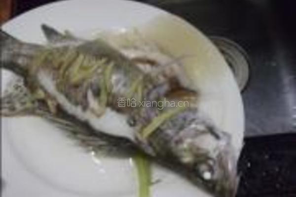 清蒸桂花鱼的做法图解6