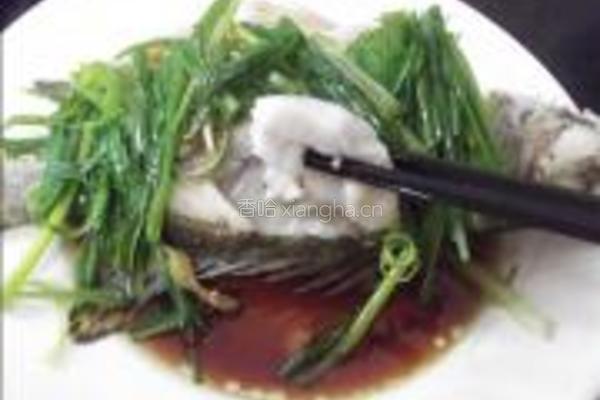 清蒸桂花鱼的做法图解9