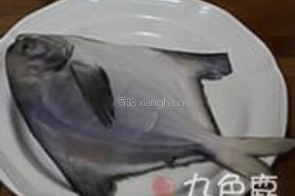酱焖鲳鱼的做法图解1
