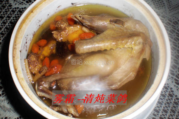 清炖菜鸽